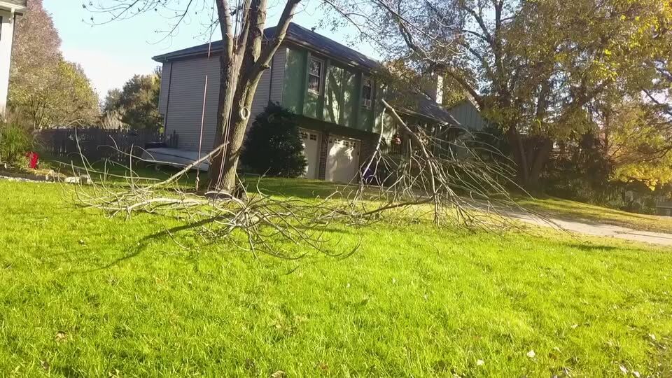 A large limb brought down onto a front lawn